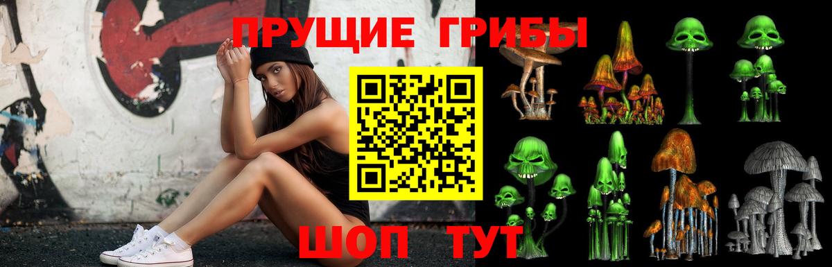 Хабаровск  Псилоцибиновые грибы Psilocybine cubensis  Вход с VPN 